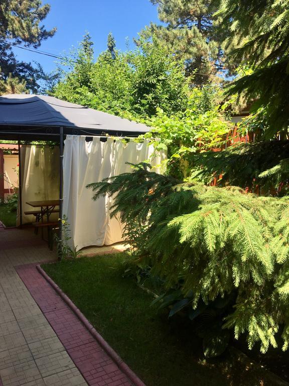 Pensiunea Karelia Эфорие Норд Экстерьер фото